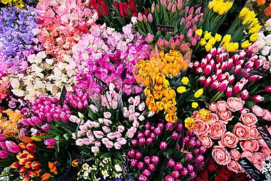 IGN评《孤岛惊魂》史上十佳作品 《孤岛惊魂6》排第三