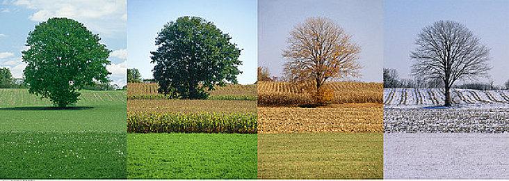 《战地2042》Steam96%玩家流失 退款请愿接近15万人